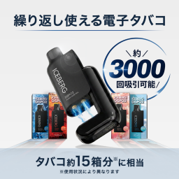 【本数を減らしたい方向け】ICEBERG Dispo2 本体セット｜繰り返し使える高コスパモデル｜濃厚フレーバー